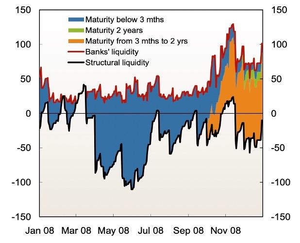 Banks’ Liquidity and Structural Liquidity (in NOK Billions) in 2008