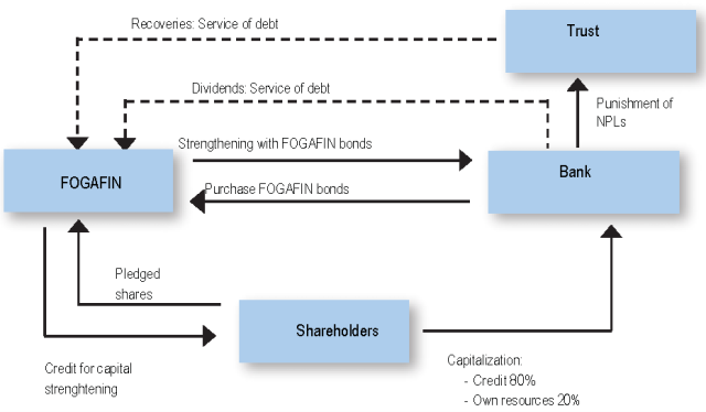General Mechanism of Capitalization Line under Resolution 006 of 1999